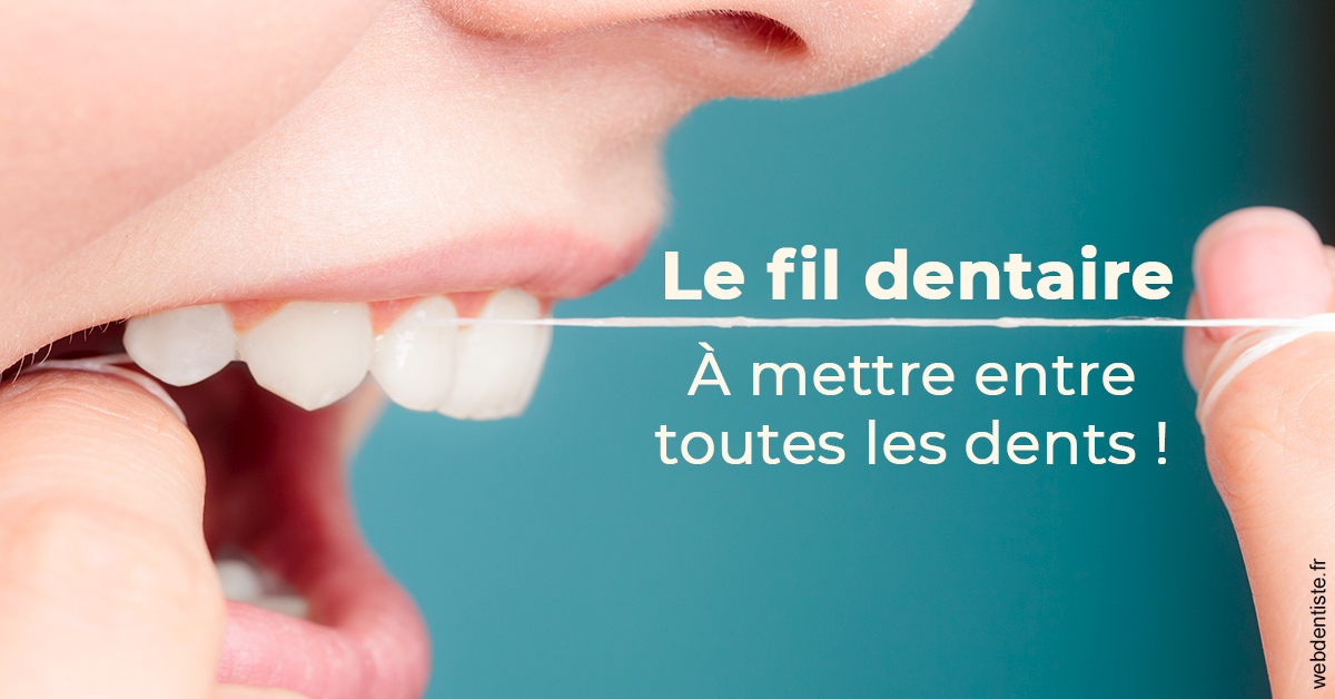 https://dr-lacaille-dominique.chirurgiens-dentistes.fr/Le fil dentaire 2