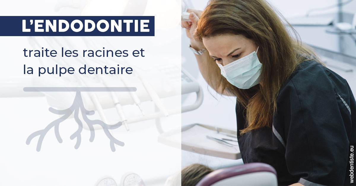 https://dr-lacaille-dominique.chirurgiens-dentistes.fr/L'endodontie 1