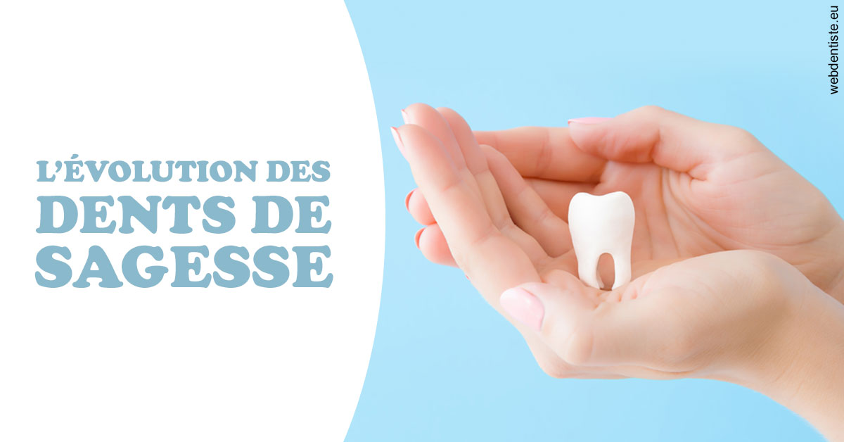 https://dr-lacaille-dominique.chirurgiens-dentistes.fr/Evolution dents de sagesse 1