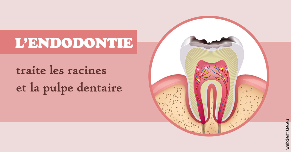 https://dr-lacaille-dominique.chirurgiens-dentistes.fr/L'endodontie 2
