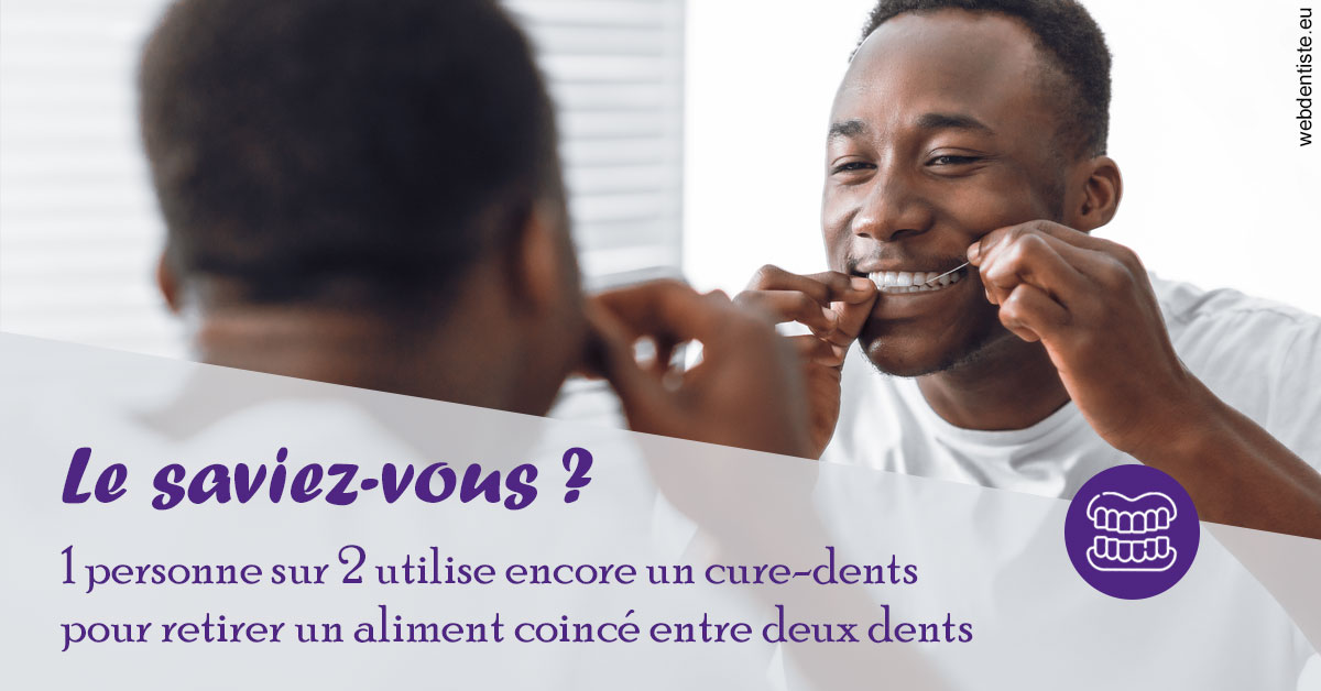 https://dr-lacaille-dominique.chirurgiens-dentistes.fr/Cure-dents 2