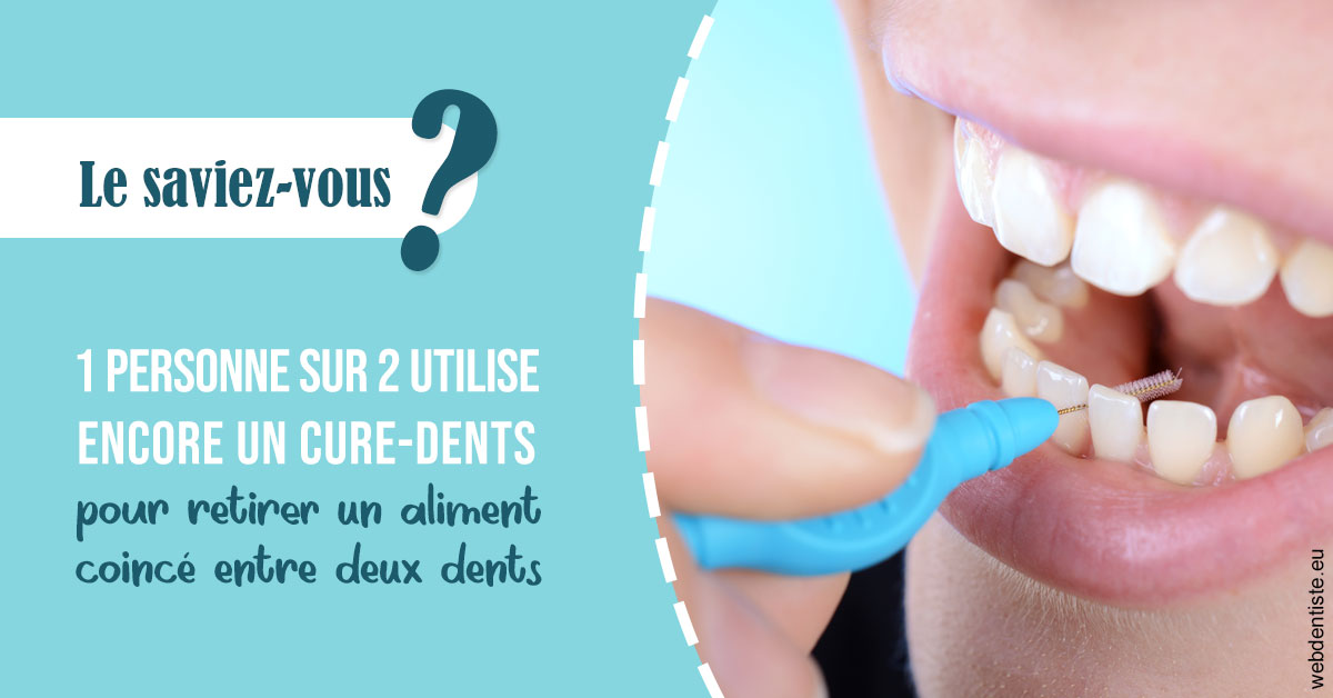https://dr-lacaille-dominique.chirurgiens-dentistes.fr/Cure-dents 1